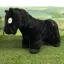 Crafty Pony All Black